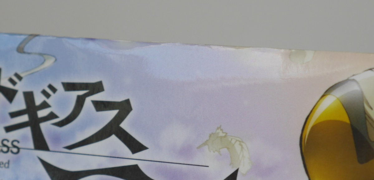 Hobby Japan Code Geass Akito the Exiled Reportage 1 A4 Anime