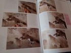 Foto 15 di 15