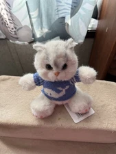 Chongker Handmade Kitten with Two Sweaters