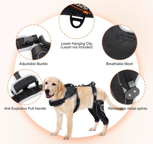 Lispoo Adjustable Knee Brace For Dogs Back Leg With Metal Splint-XL - Bild 11 von 13