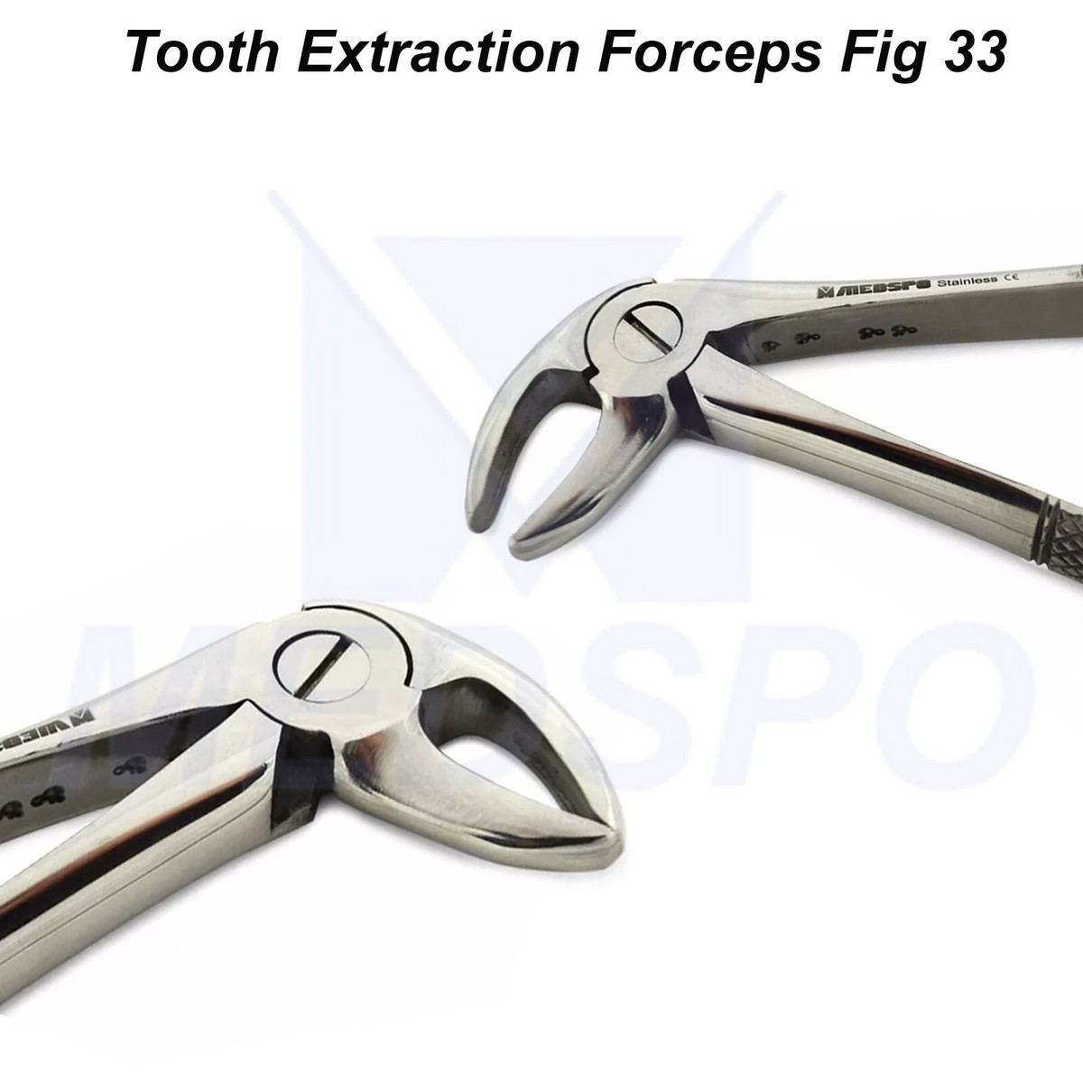 Forceps Dentaire Extraction Dent - Modèle 33A, Acier Inox, Garanti 3 Ans
