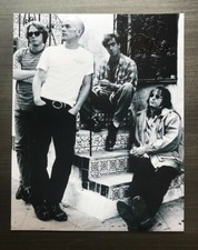 * PETER BUCK * signed autographed 11x14 photo * R.E.M. * PROOF * 1