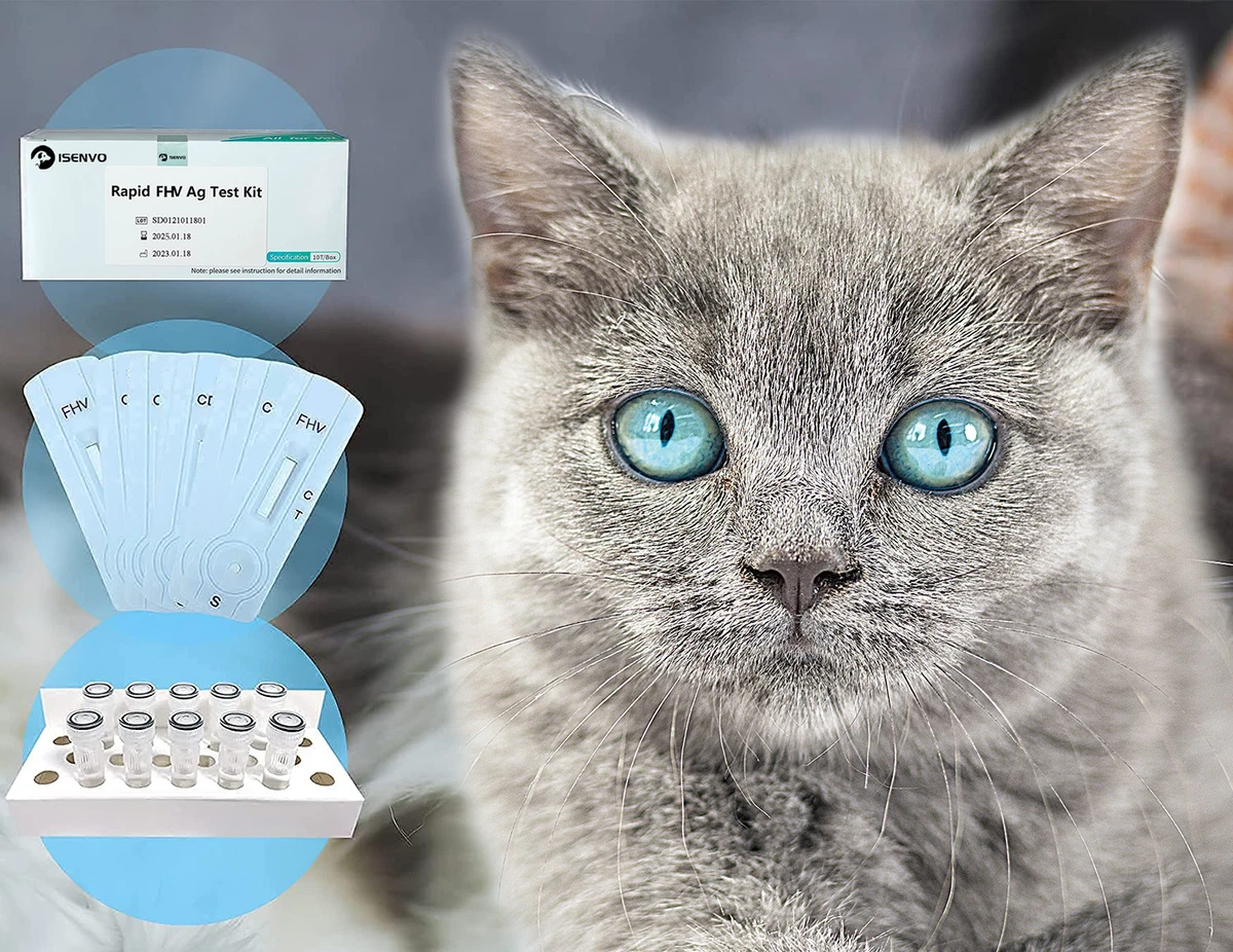Feline Herpes FHV Ag Detection Of Mouth And Nose Secretions, 59 OFF