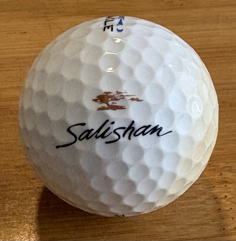 Salishan Golf Club Souvenir Golf Ball