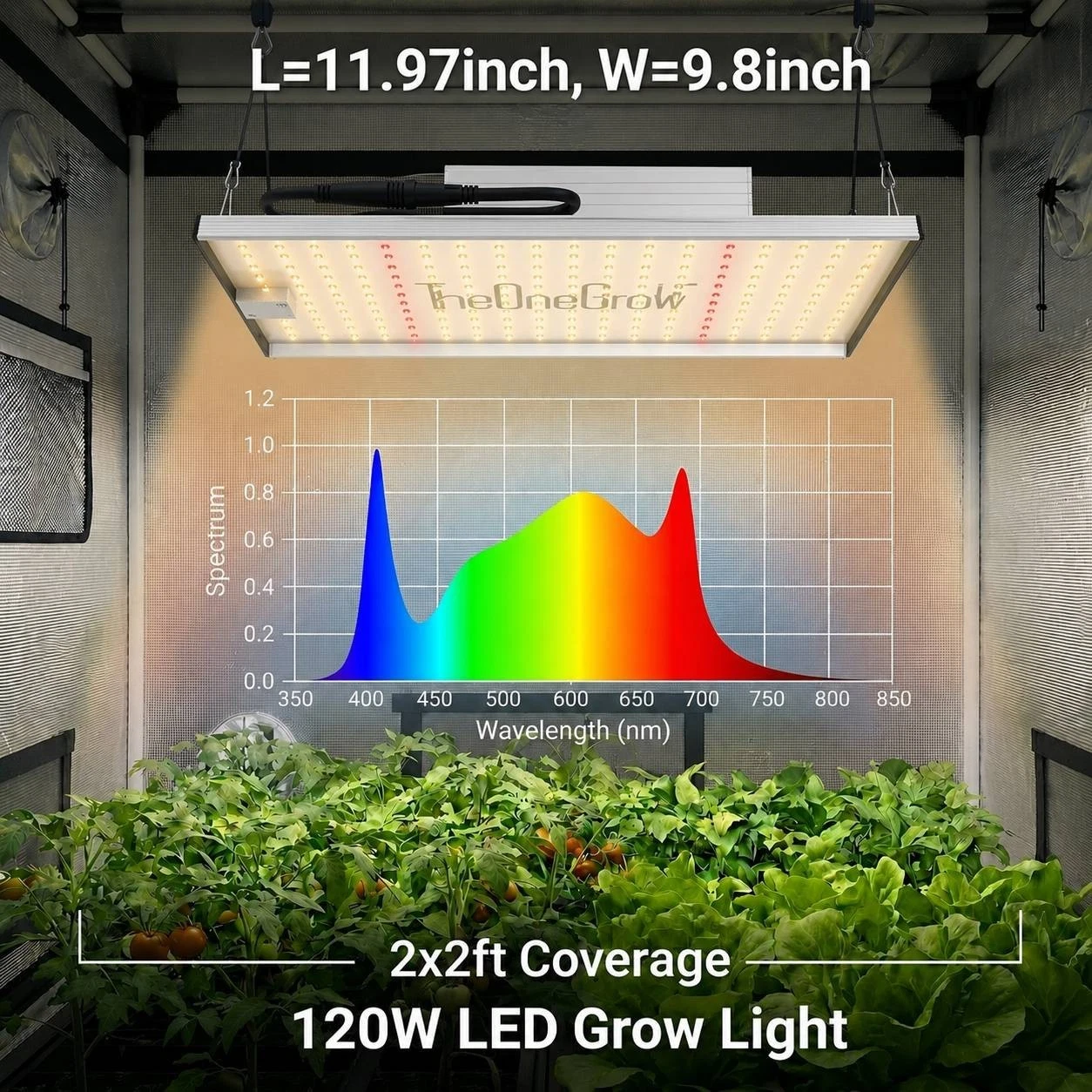 120W Grow Light