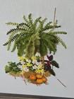 Bild 6 von 11