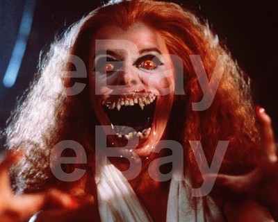Fright Night (1985) Amanda Bearse 10x8 Foto