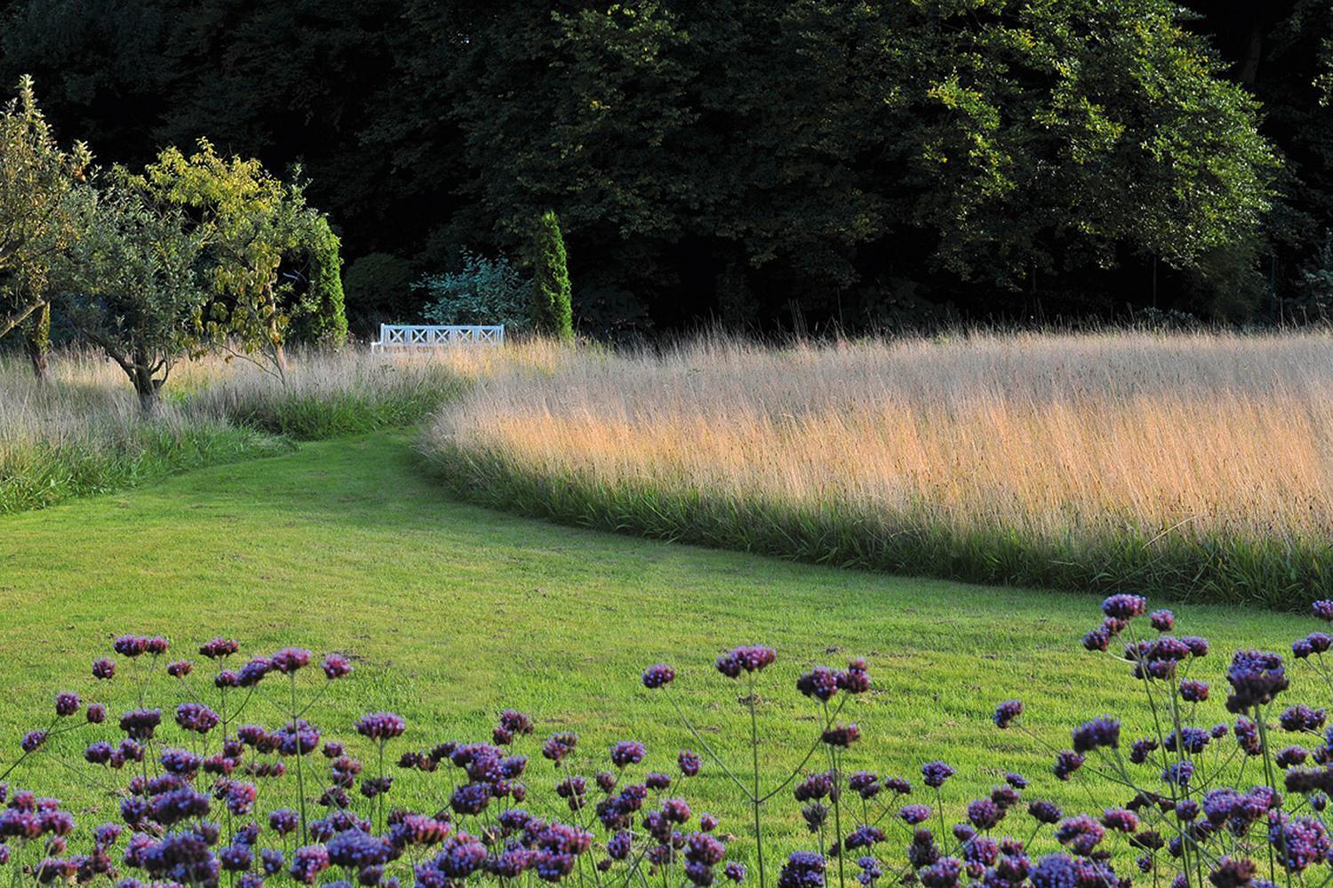 Thumbnail - Meine Vision Wird Garten | Peter Janke | Taschenbuch | 264 S. |