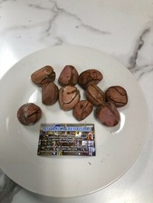 Obi Osum Kola 1/2 Libra Obi Kola Kola Nutt religión yoruba ifa orula orunmila