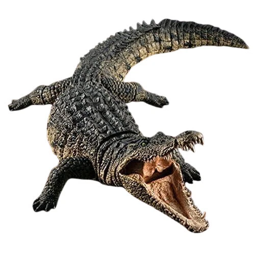 Los aficionados y coleccionistas Bandai Juguetes Educativos de Ciencia y Naturaleza