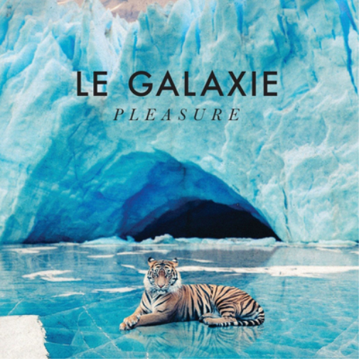 Le Galaxie Pleasure (Vinyl LP) 12" Album