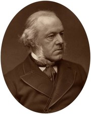 Henry Austin Bruce 1st Baron Aberdare statesman in 1882 OLD PHOTO