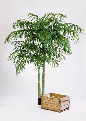artplants Kunst Areca Palme Naomi, Zementtopf, 2 stämmig, 1608 Blätter, 210cm