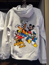 Disney Parks Mickey  Friends Embroidered Grey Zip Up Hoodie Adult Sizes NWT 