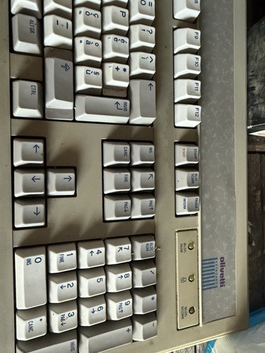 Vintage Olivetti ANK 25-102 / ANK 25-102 102-Key Computer PC Keyboard - Zdjęcie 2 z 4