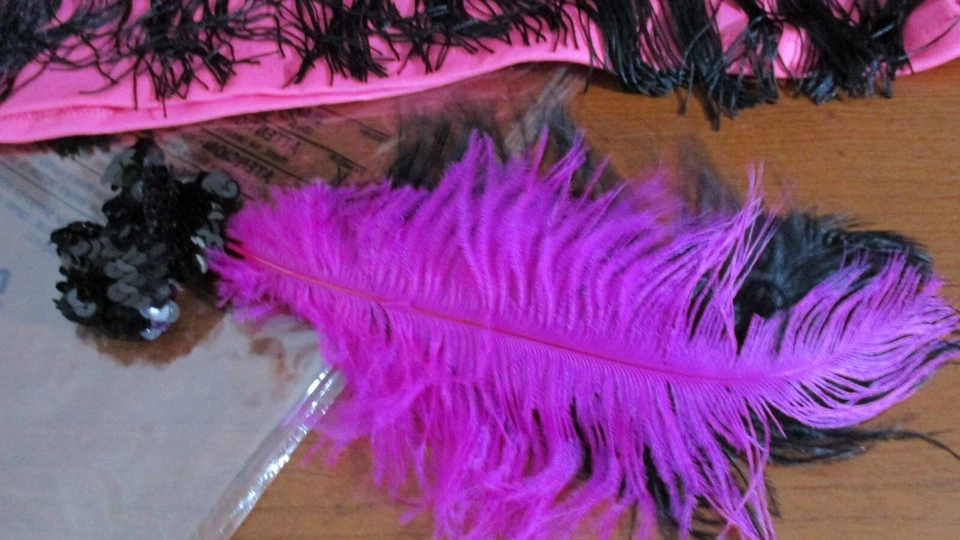 FORO~VESTIDO FLAPPER ROSA con Cuerdas Negras y PLUMA CABEZA PIEZA DISFRAZ~Mujer M/L Foto 2 de 4