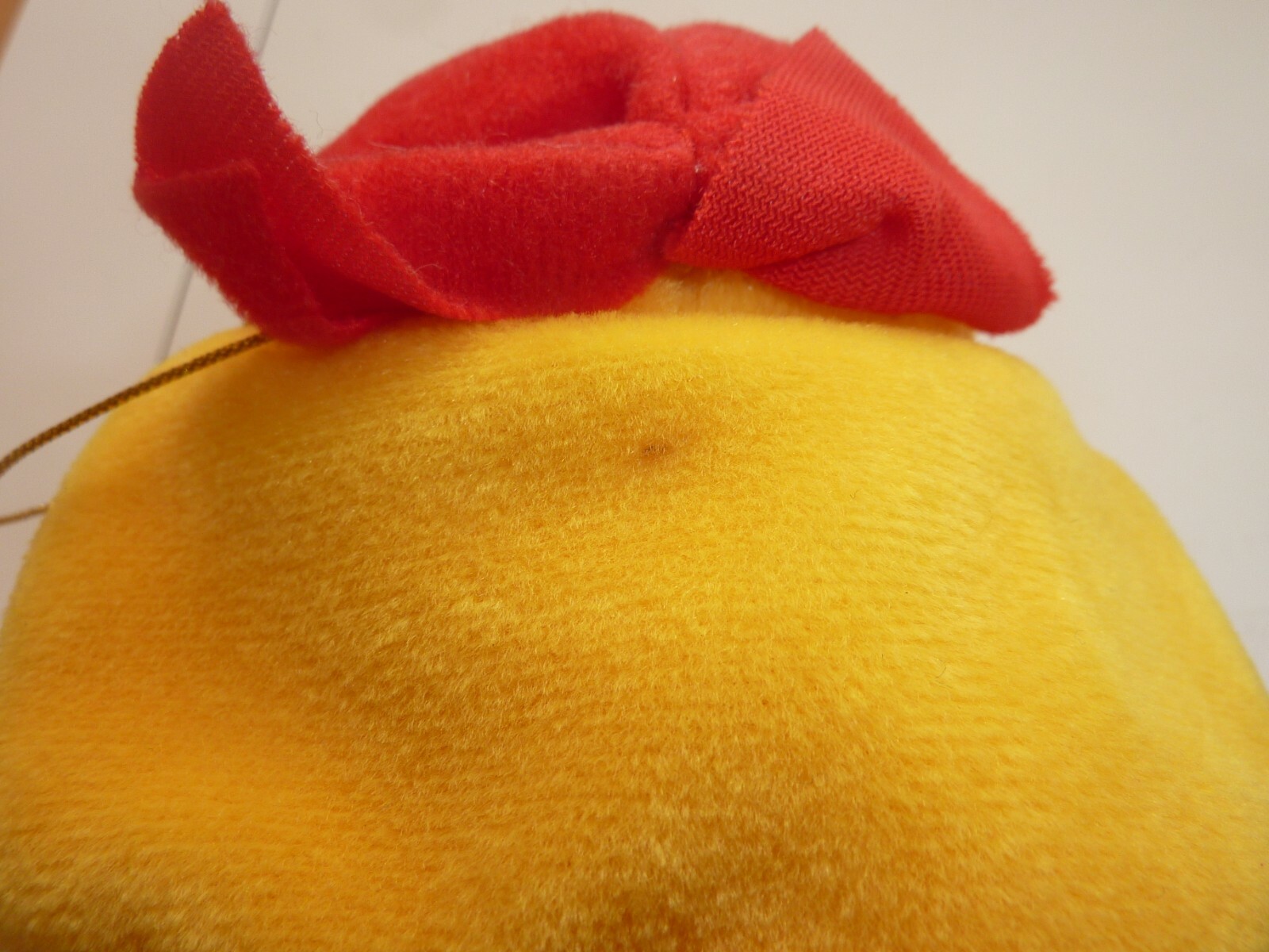 Picture 5 of 5