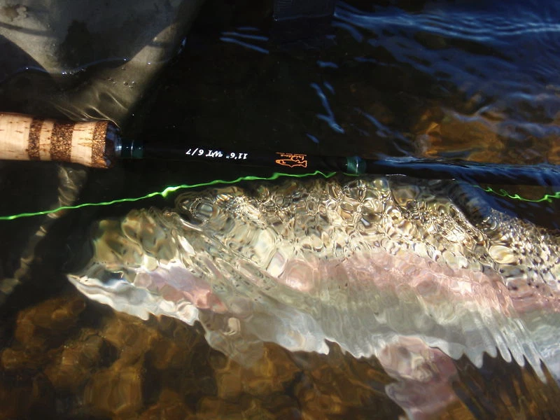 Tubo Pesca con Mosca Caja Irideus Tribute Hold Tubo Moscas Cabeza de Cono Moscas Foto 3 de 3