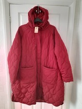Amazon Plus Size
