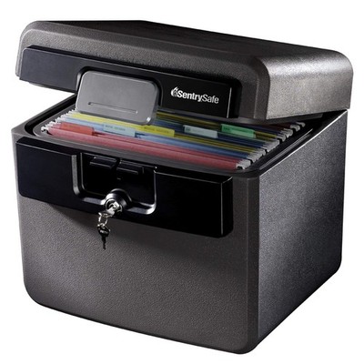 SentrySafe Black Fireproof and Waterproof Safe, File 0.65 Cubic Feet, black 