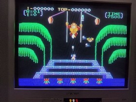 NES Donkey Kong 3 -D-  retro game