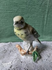 Mistle Thrush - 11.5cm Fine Bone China Bird Figurine