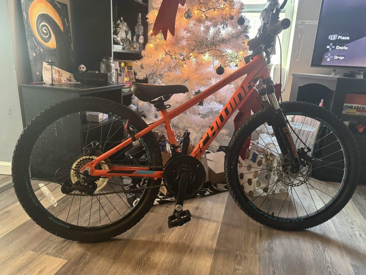 dk bmx bicycles DK Swift Race Pro BMX Bike