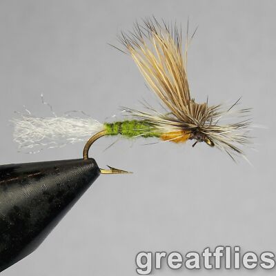 1 dozen (12) - E/C Caddis - OLIVE