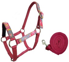 Patterned Nylon Mini Horse Halters with Matching 7  Lead