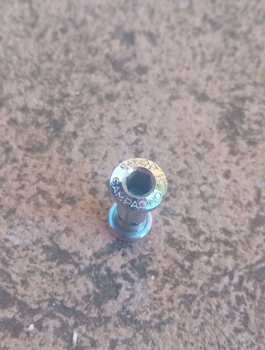 Set Viti E Bulloni Per Lama Braccio Campagnolo - Nuovo Vecchio Stock, Doppia Corona