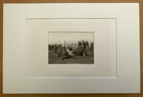Photo circa 1900 Uzbekistan SAMARKAND In the steppe Original vintage RARE! - Picture 2 of 3