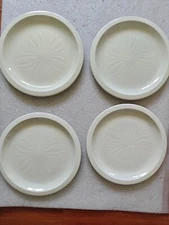 4x Franciscan Sea Sculptures Sand Dollar White Dinner Plate - READ DESCRIPTION