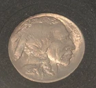 1913 type 1 buffalo nickel uncirculated