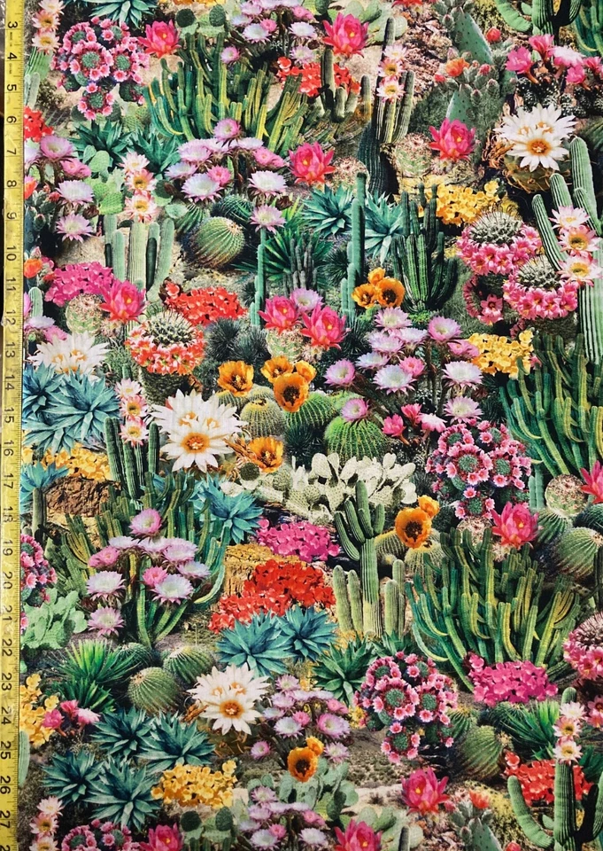 Tela de cactus Tesoros atemporales desierto suroeste paisaje de cactus oeste CD1786 Foto 3 de 3
