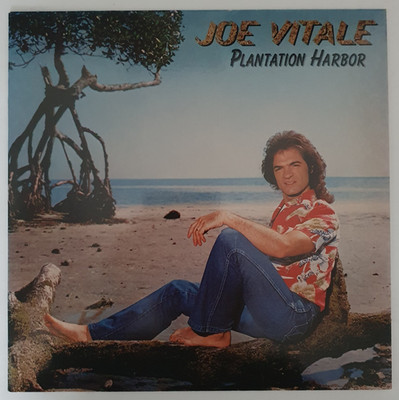 Joe Vitale (Eagles)   Plantation Harbor (Vinyl, 1981), OIS, excellent (EX)