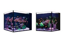 Red Sea Desktop Peninsula und Cube (nur Aquarium)