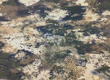 Cabela's O2 Octane Water Resistant Camouflage Cordura Fabric WW42