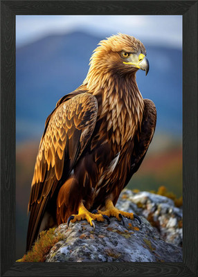 Steinadler gerahmtes Wandbild Poster Leinwanddruck Bild