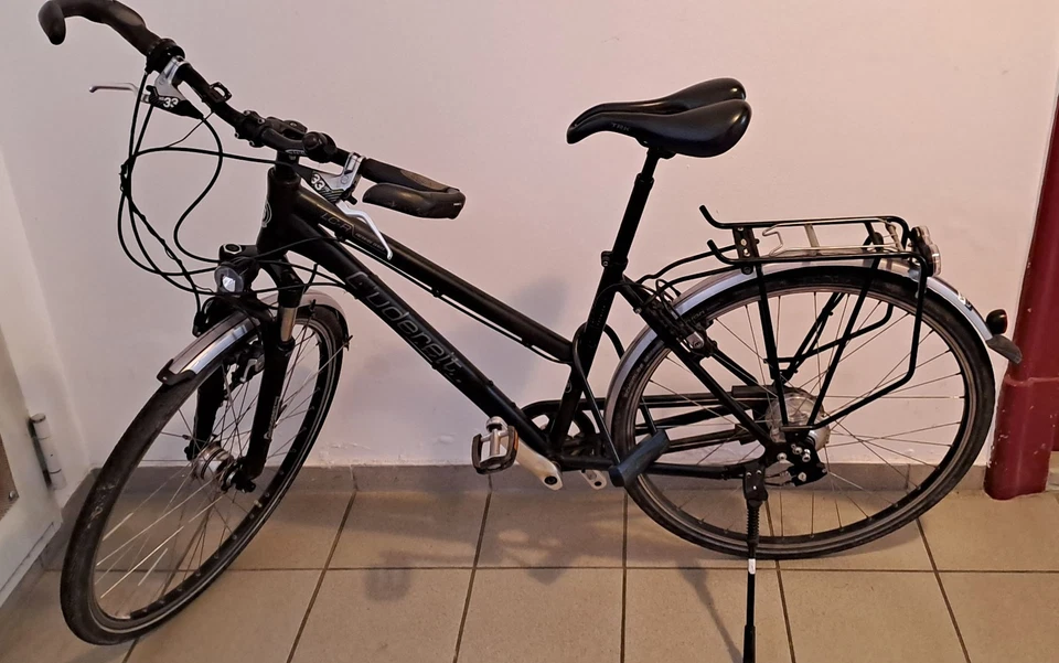 Gudereit Trekkingrad mit Rohloff 14 Gang Schaltung, 45er Trapezrahmen,  gefedert