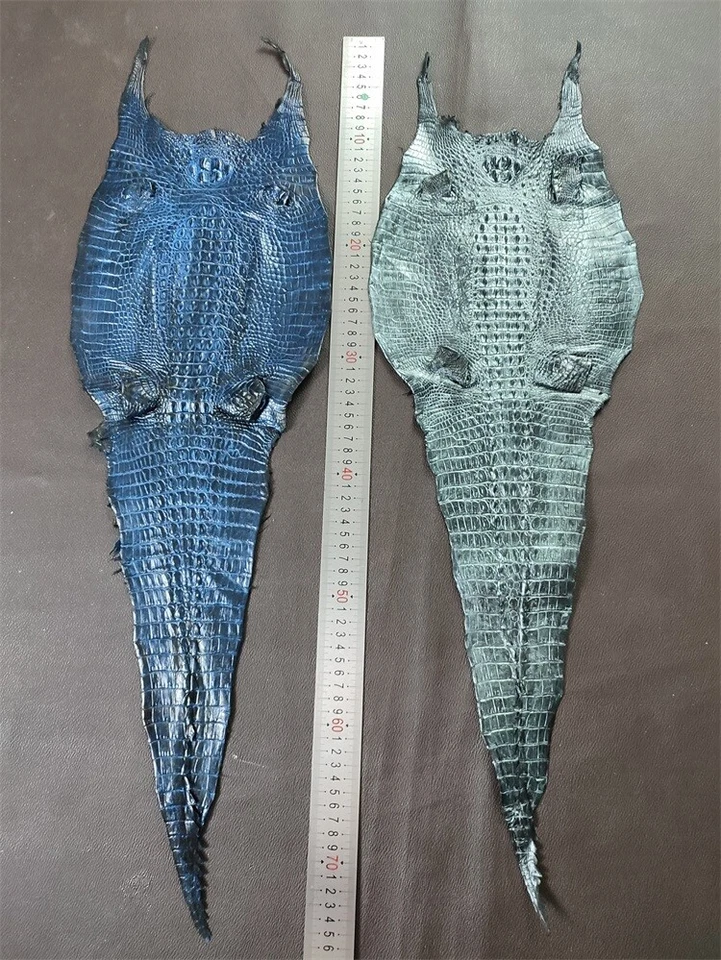 Piel de cocodrilo de cocodrilo real piel exótica piel suave hágalo usted mismo artesanía multicolor Foto 4 de 4