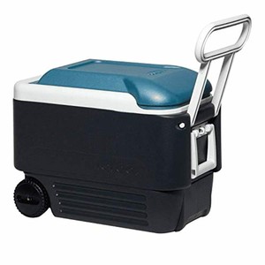igloo 56 quart cooler