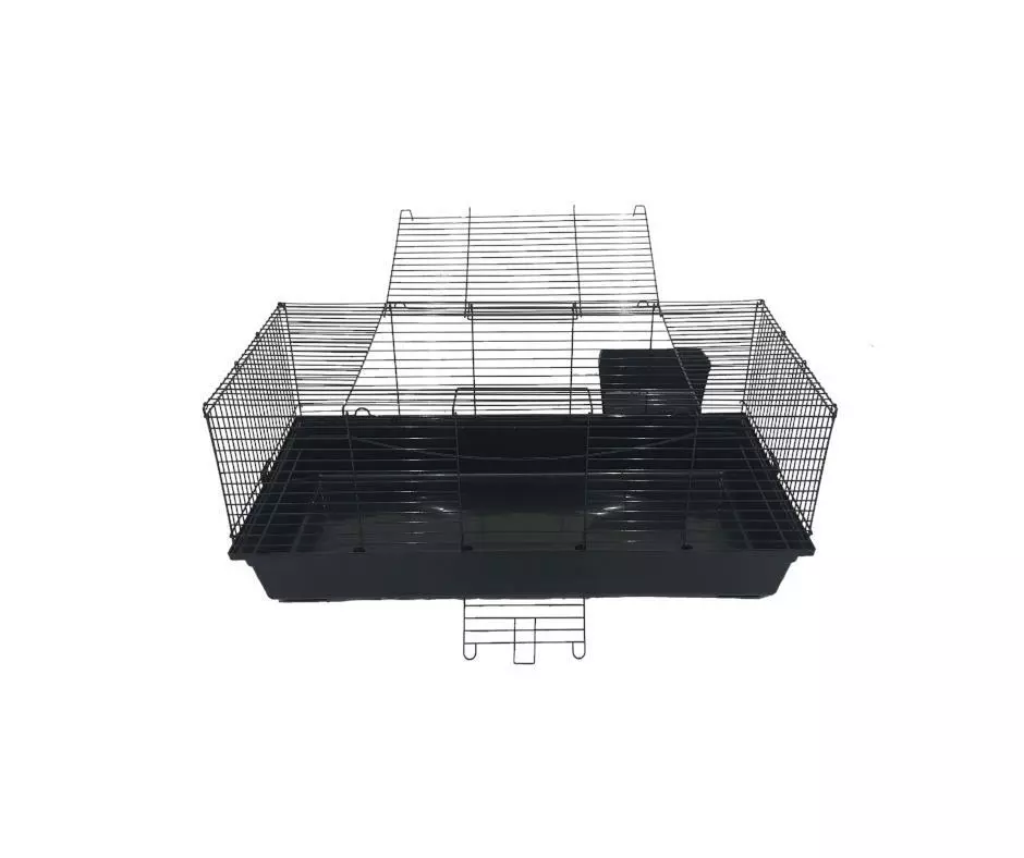 Best indoor hot sale guinea pig cages