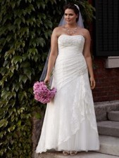 wedding gown David’s Bridal pictures don’t do it justice!