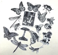 Black and White Garden Insect Stickers Planners Bullet Journal Scrapbooking