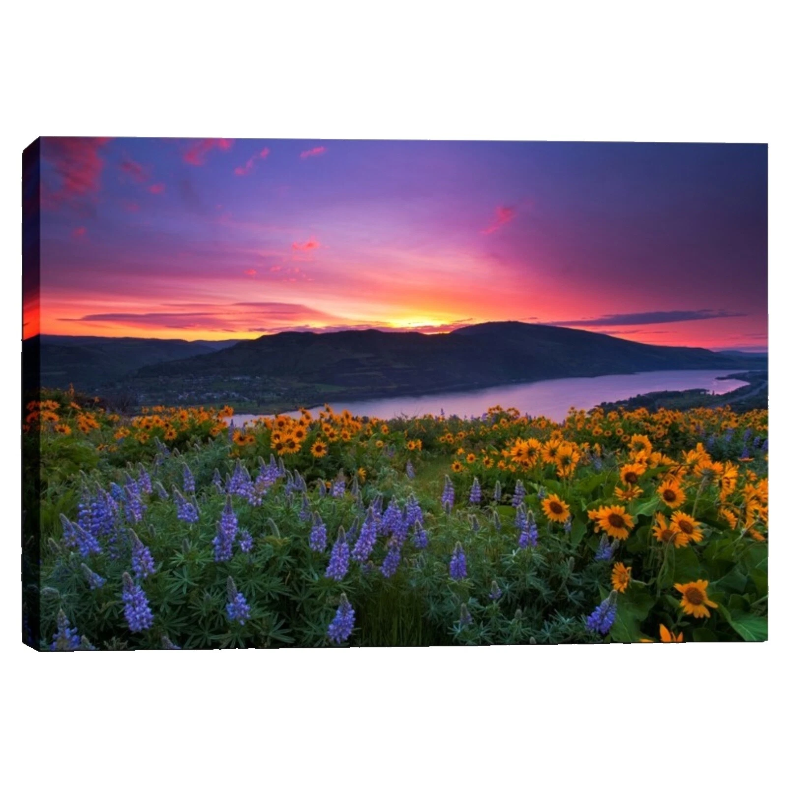 Decoración para el Hogar náutico contemporáneo afiches y Grabados