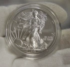 2015 W Burnished US Silver Eagle $1 Gem Unc