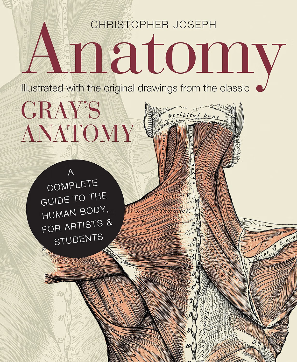 Anatomy: A Complete Guide to the Human Body by Christopher Joseph (HB 2013) - Image 11