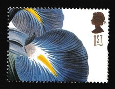 1997 Greetings Flower 1st Iris Latifolia by Ehret. Paintings. SG 1962