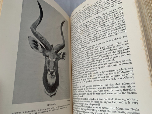 Big Game Shooting in Africa (1932-1st) Hunting - Lonsdale Library of Sports XIV - Foto 6 di 11