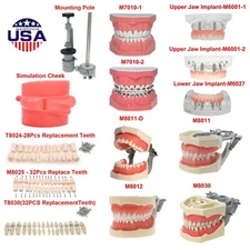 US For Dental Typodont Model Implant Restoration Replacement Teeth Mounting Pole